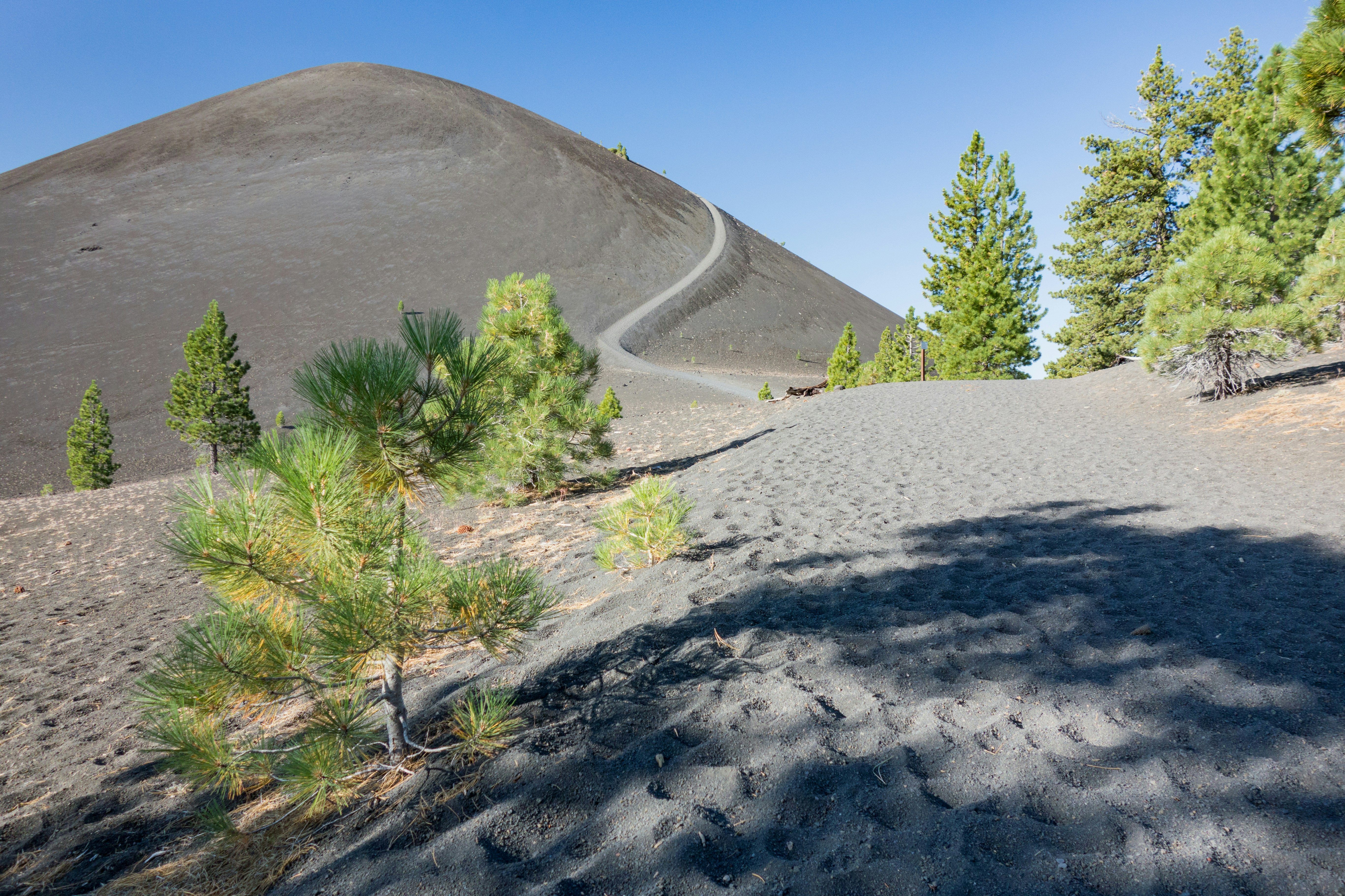 Free Unsplash photo from Matt McLean