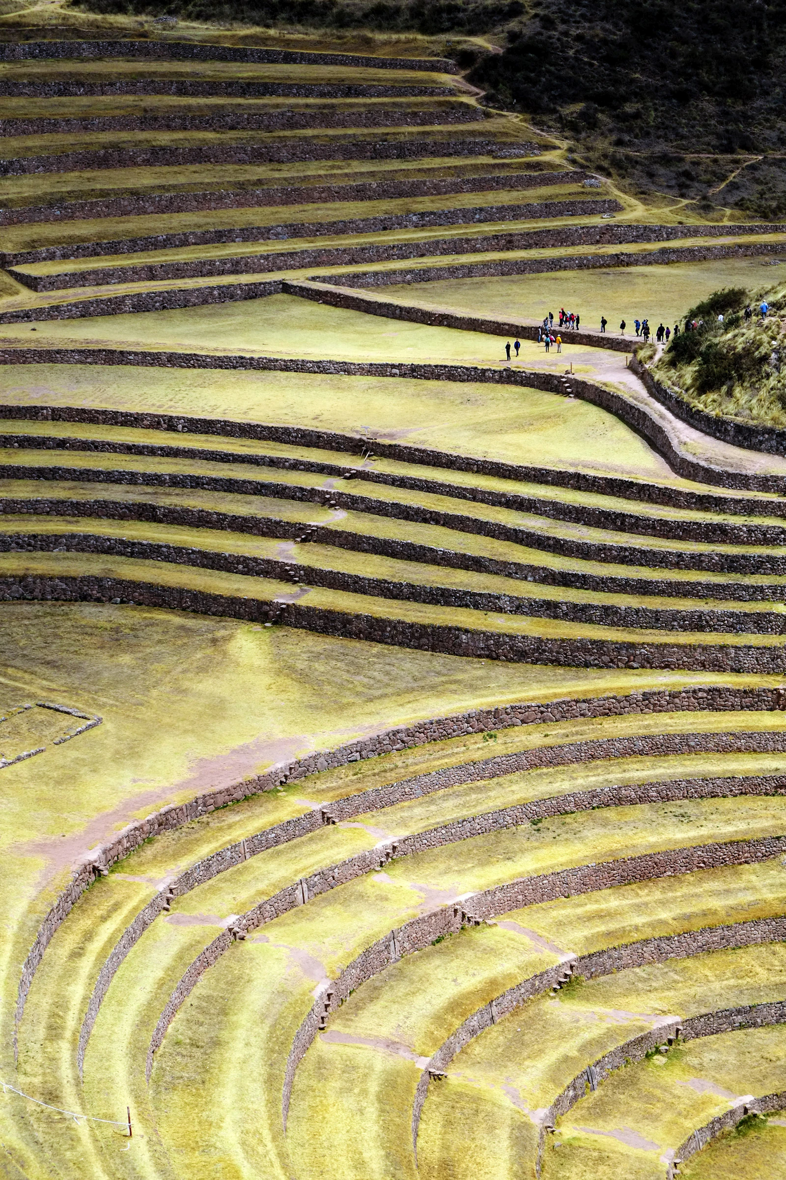 Terraced Inca ruins in Peru's Sacred Valley