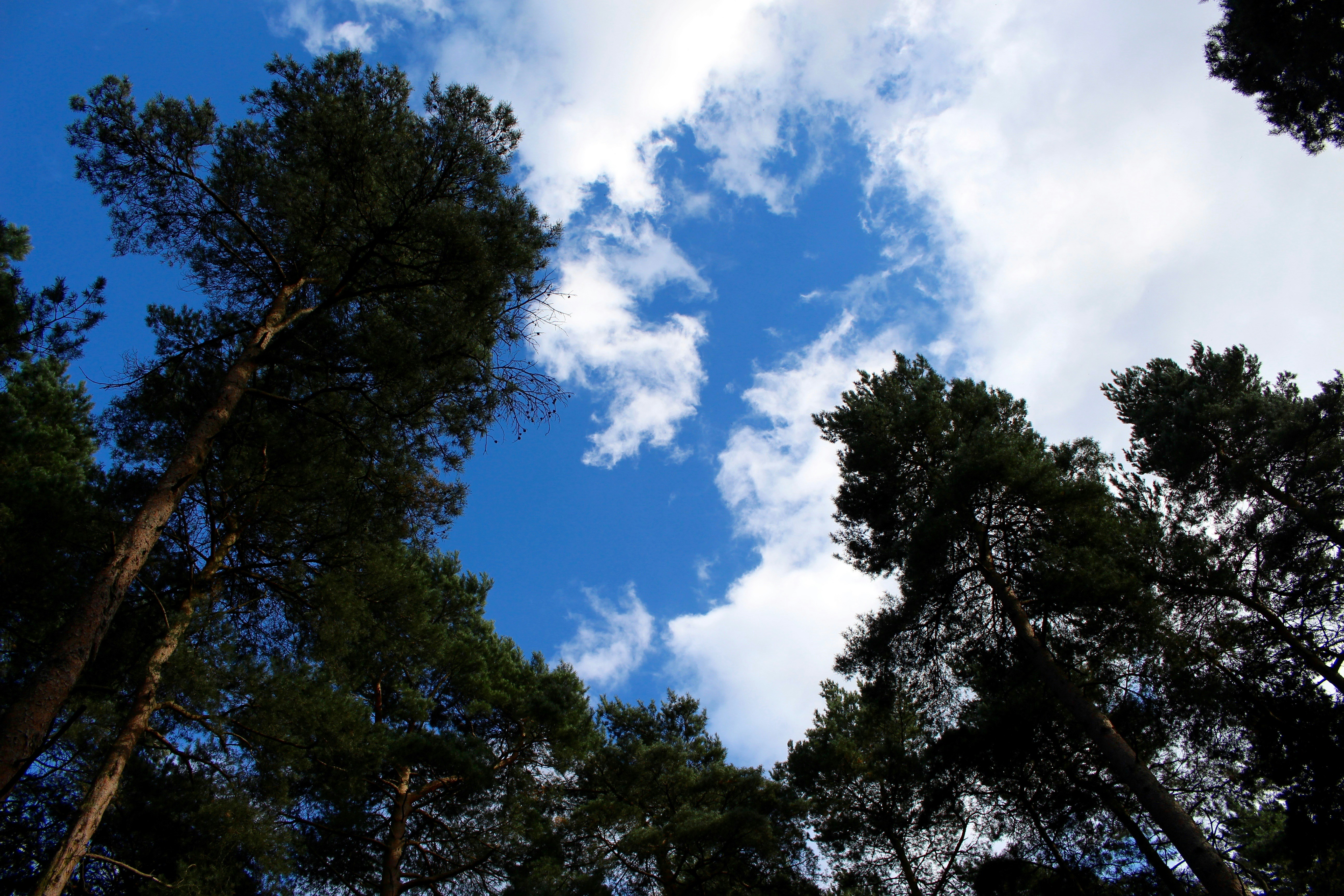 Free Unsplash photo from Emily Morter