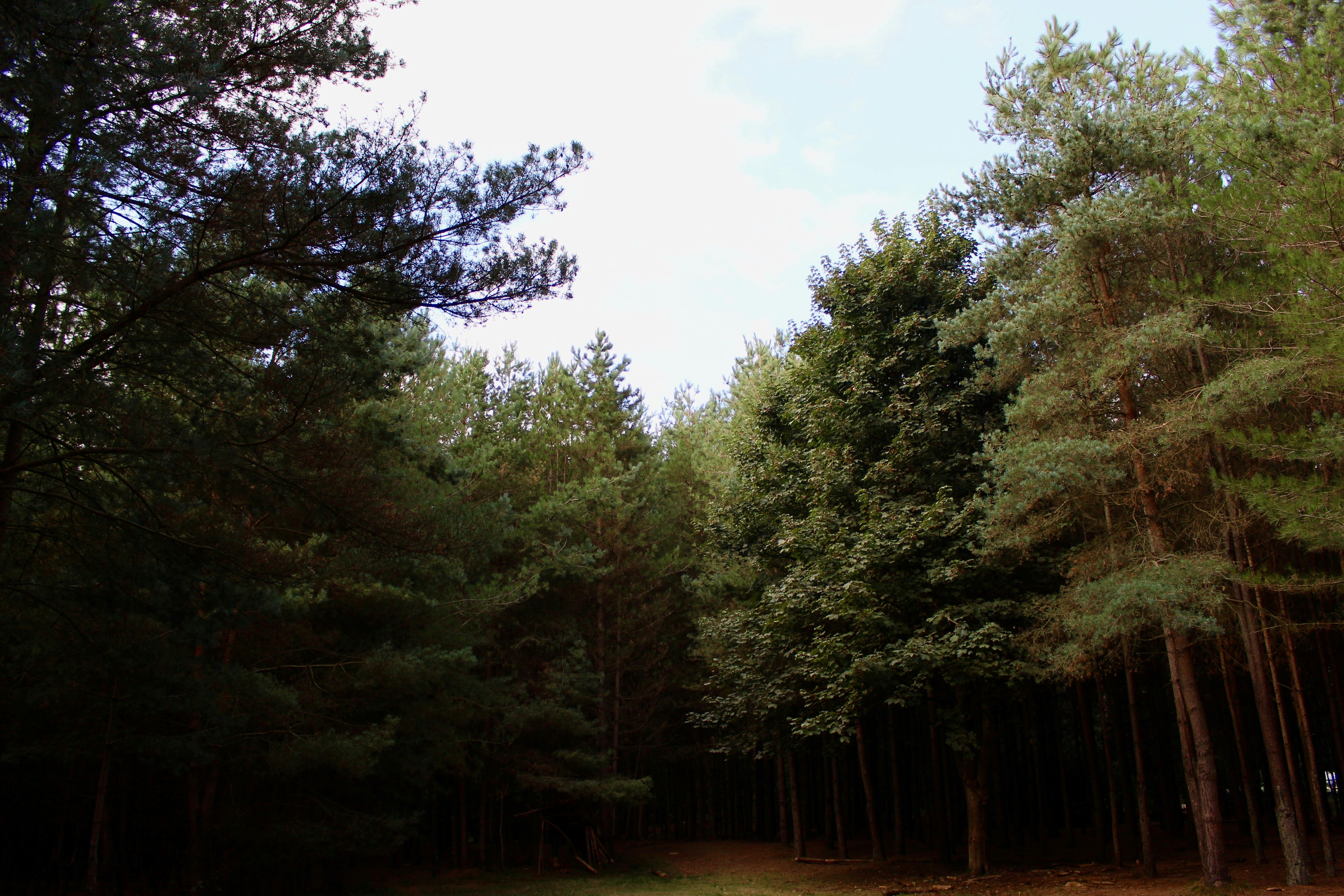 Free Unsplash photo from Emily Morter