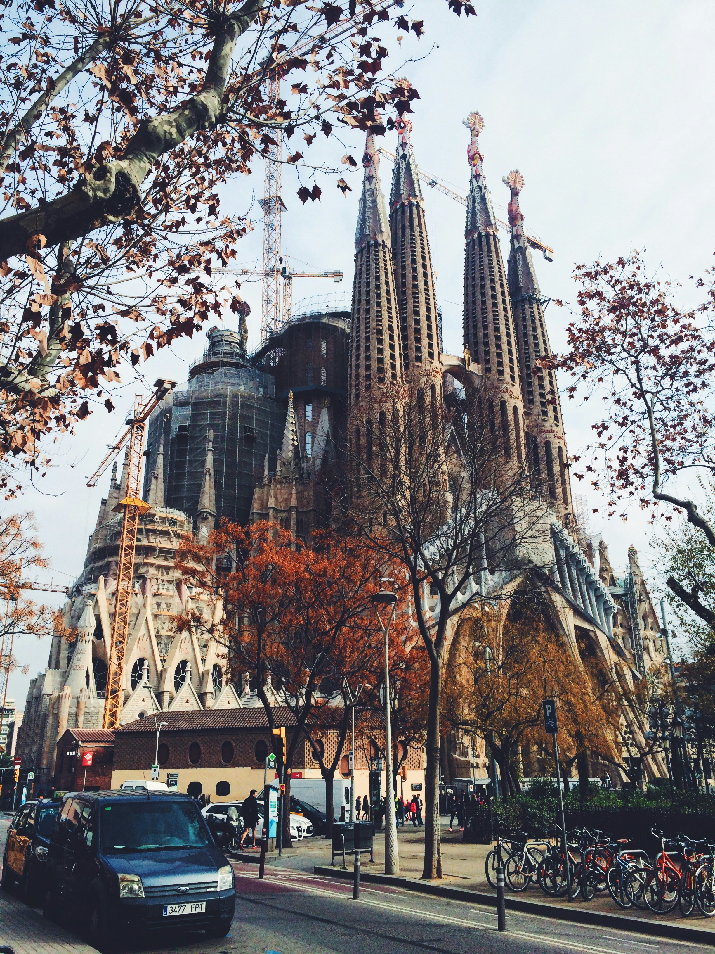 Free Unsplash photo from Lera Dmitrieva