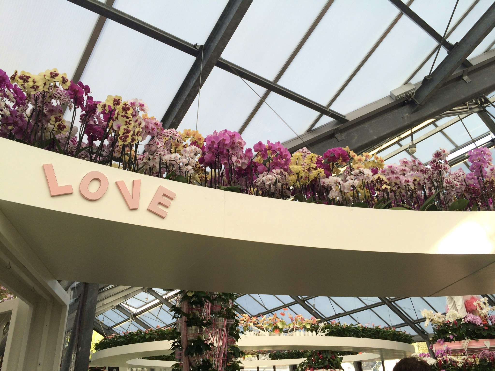 Free Unsplash photo from Lera Dmitrieva