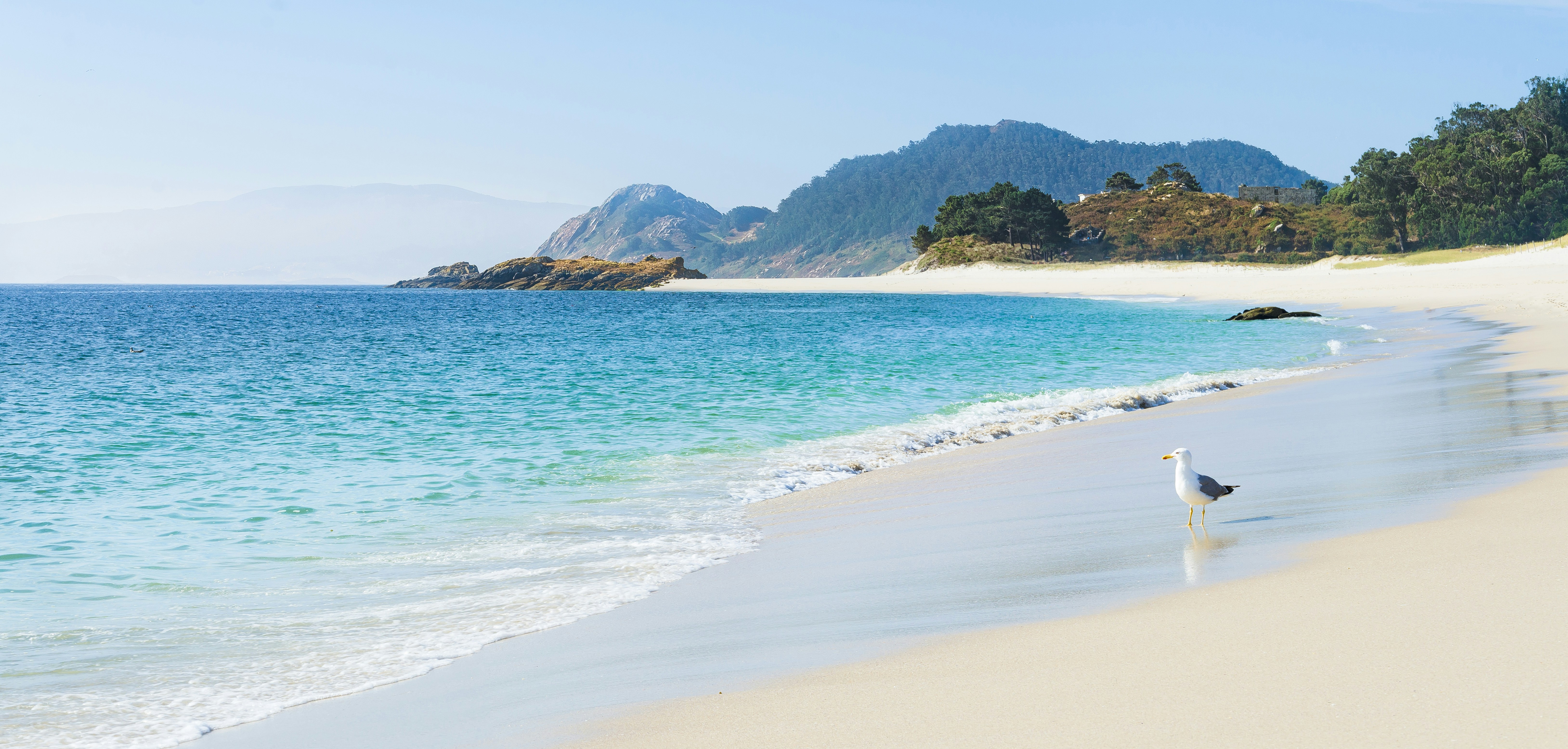 Free Unsplash photo from Joan Moreno