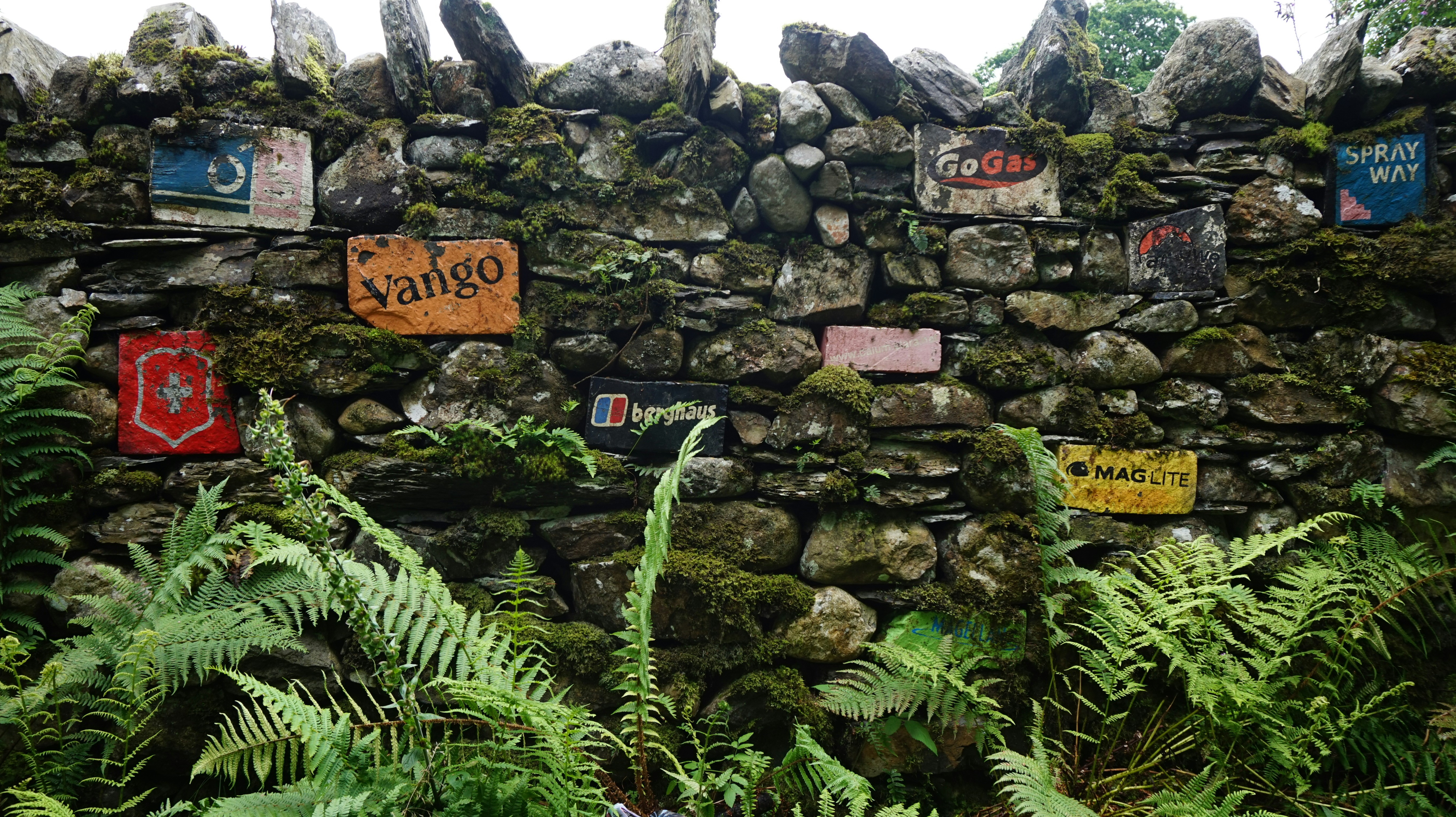 Free Unsplash photo from laura marshall