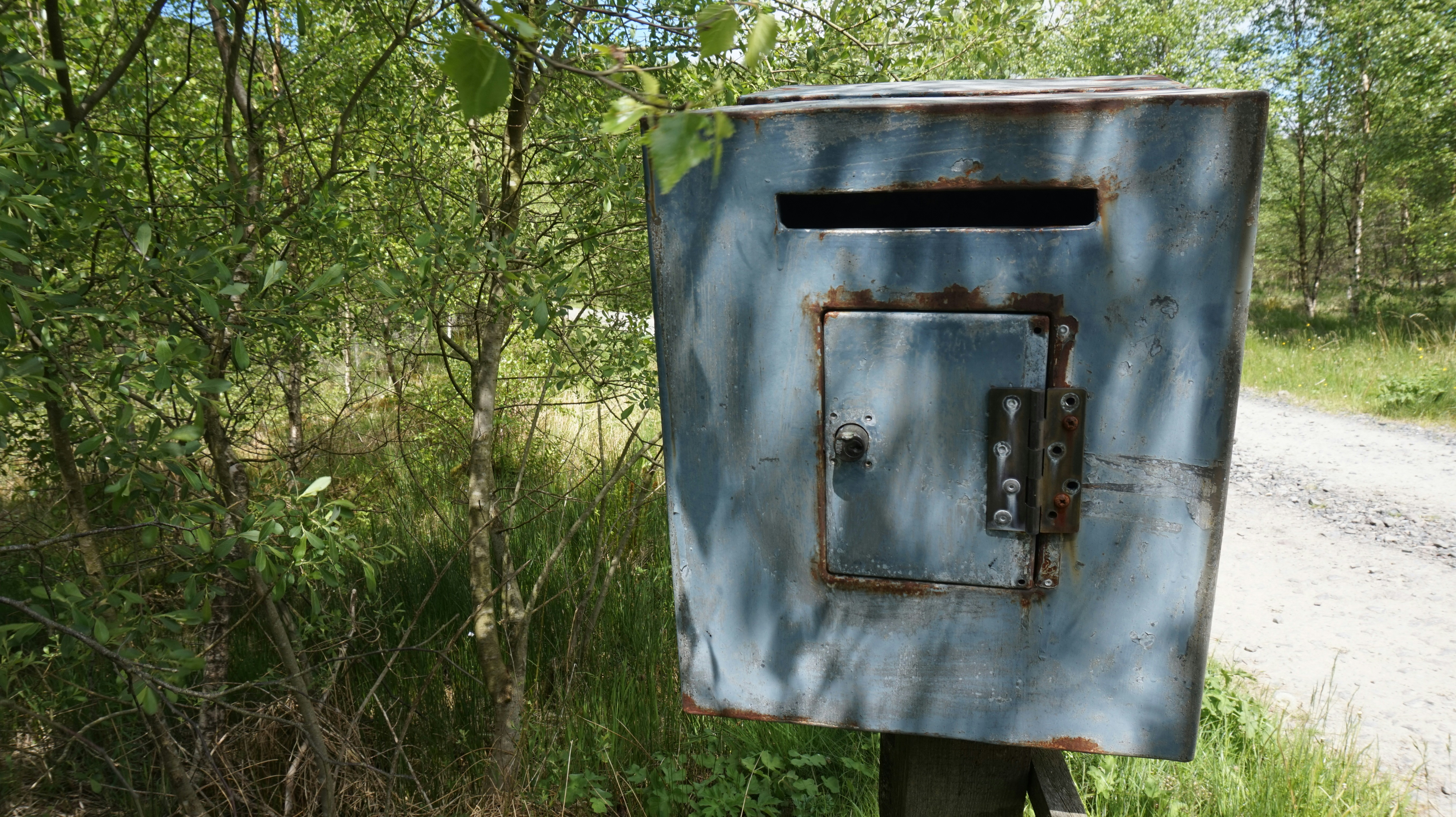 Free Unsplash photo from laura marshall