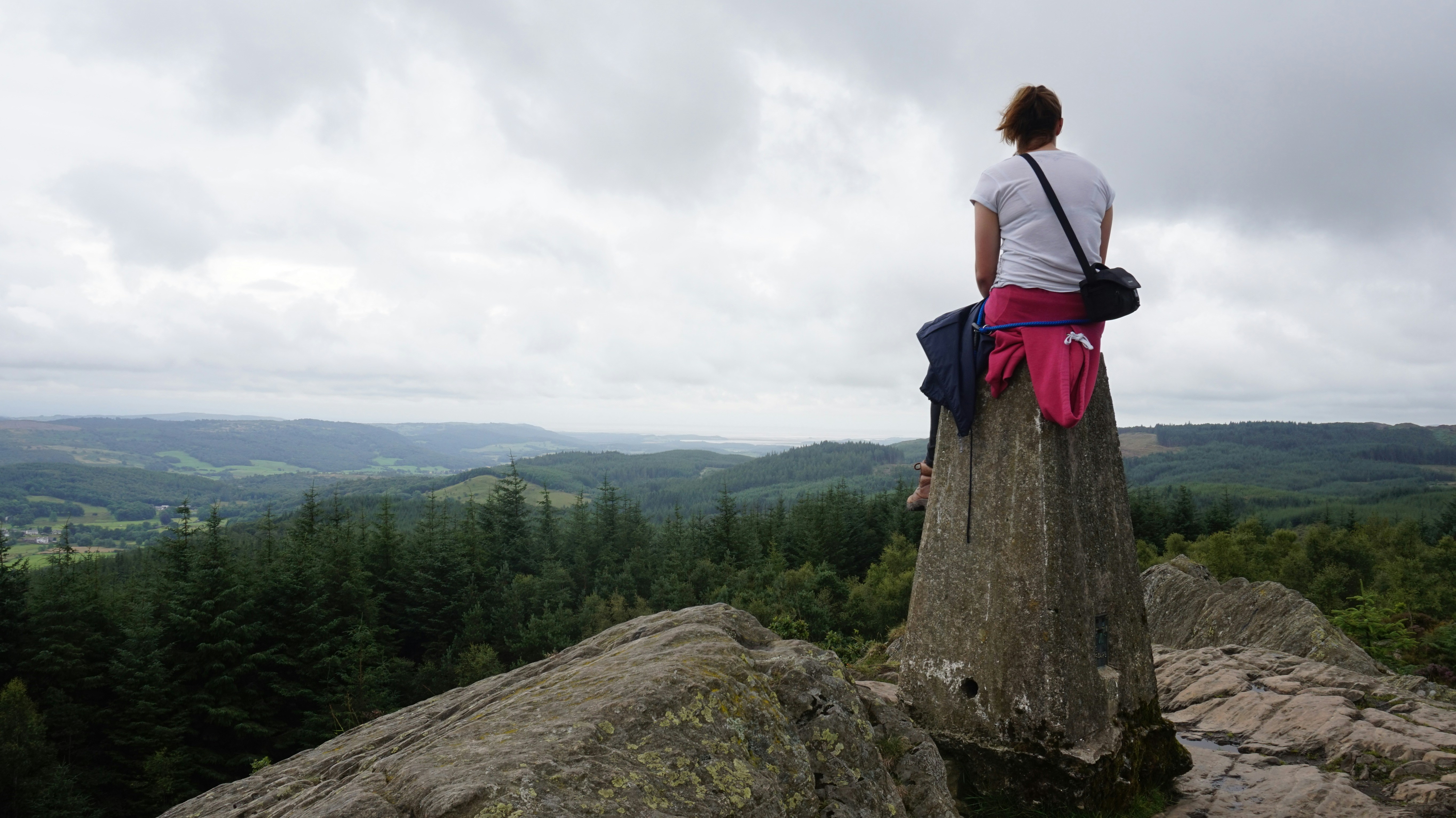 Free Unsplash photo from laura marshall