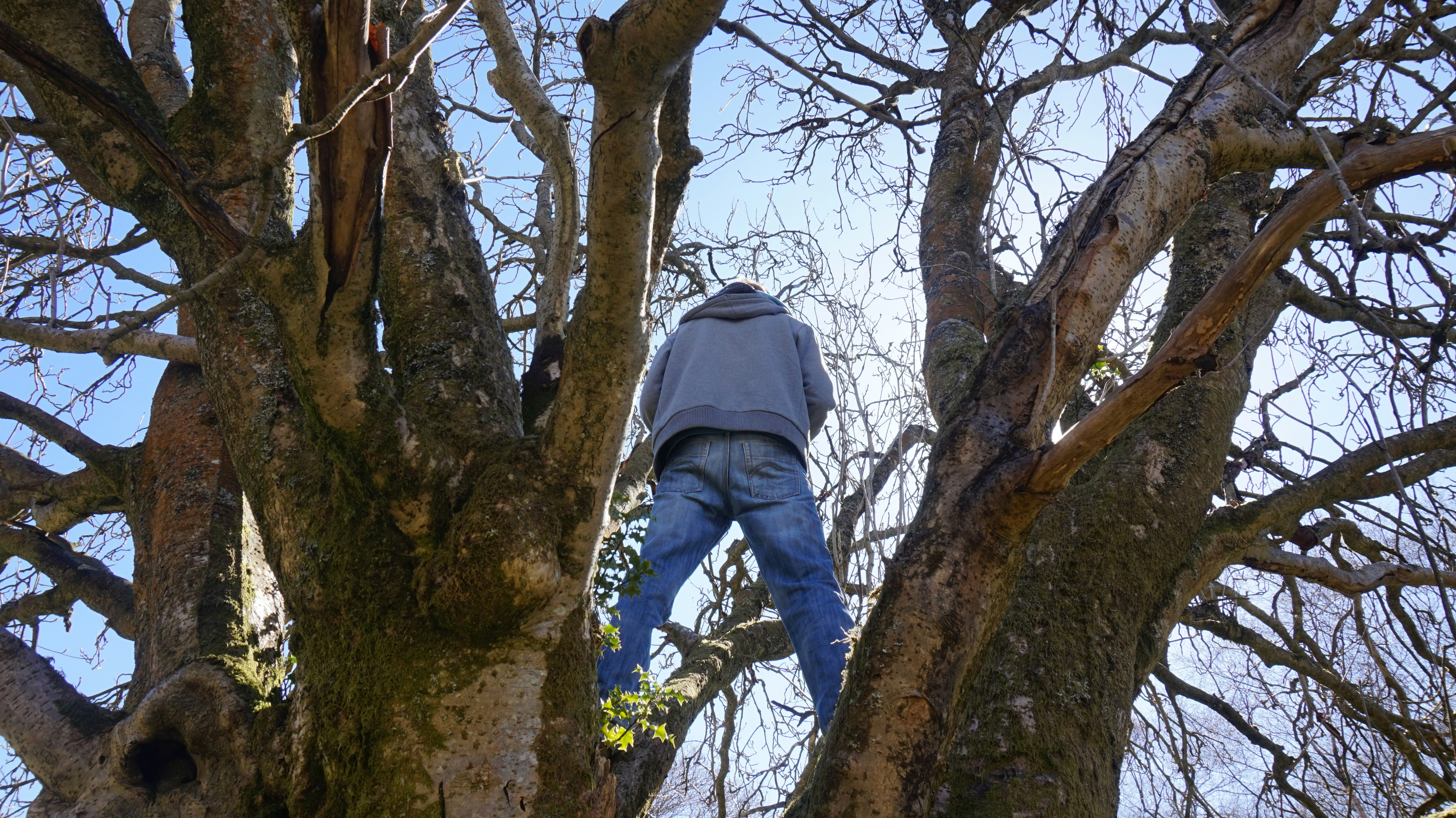 Free Unsplash photo from laura marshall