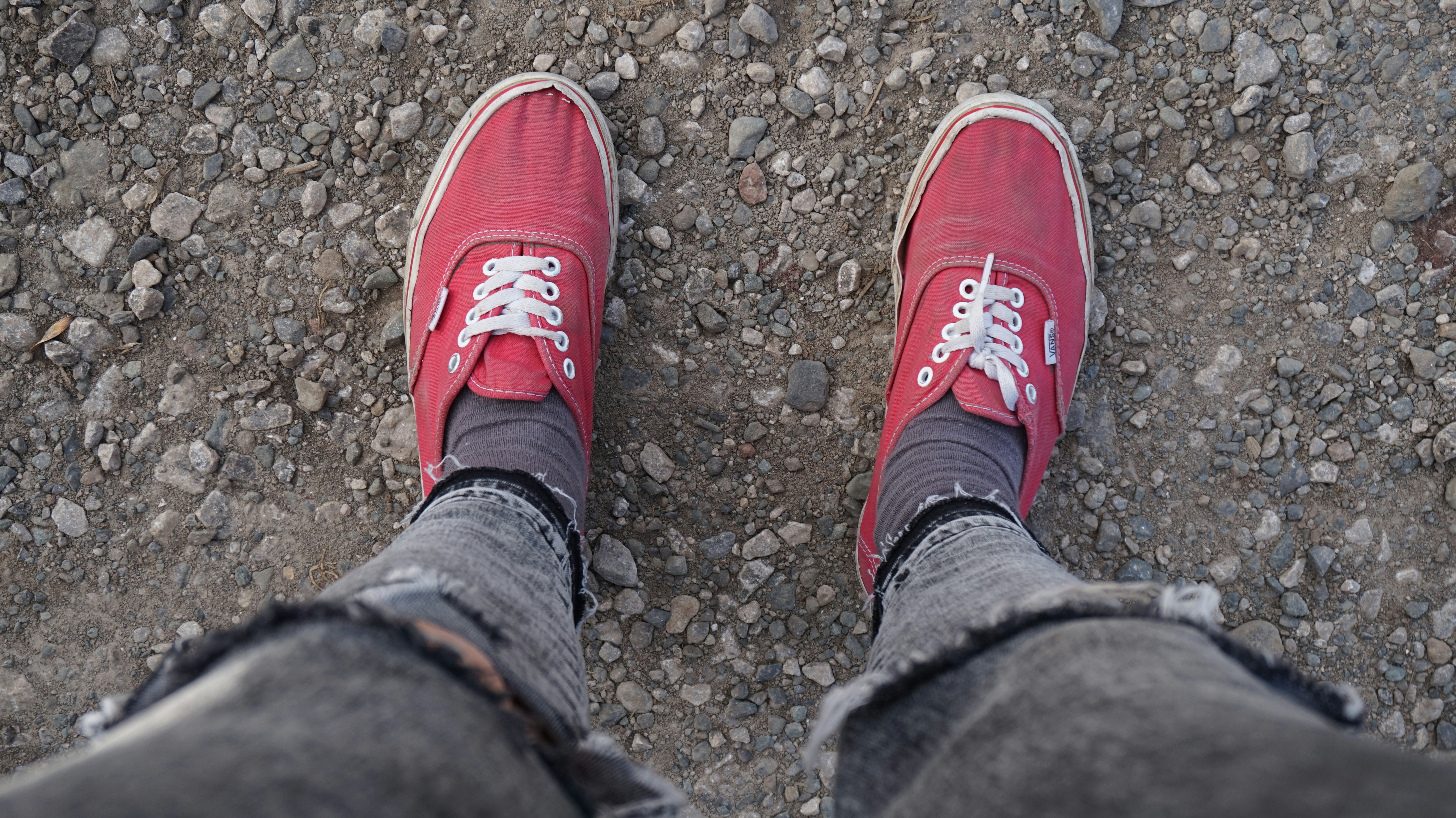 Free Unsplash photo from laura marshall