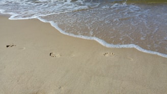 Footprints in the soft sand leading toward the calm waves at dawn.