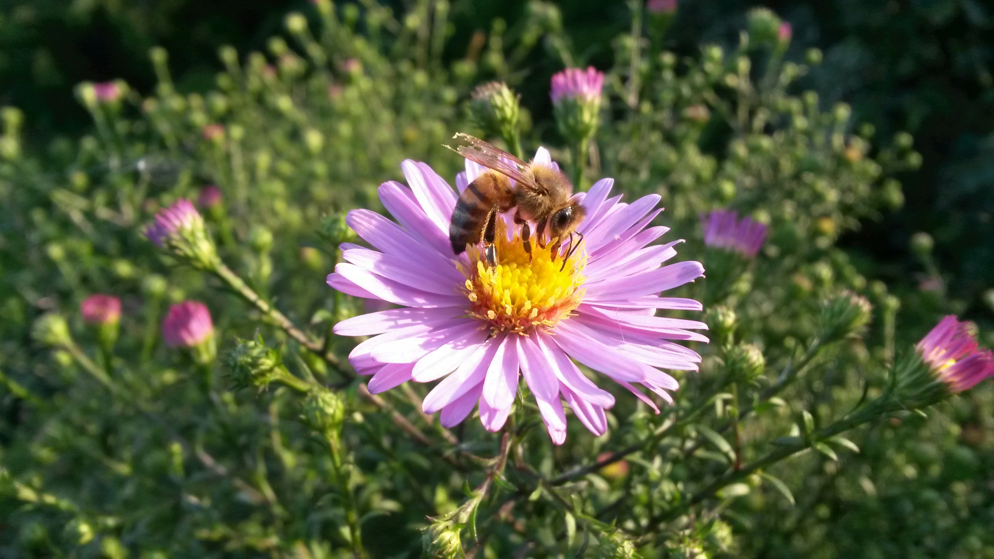 Free Unsplash photo from Robert B