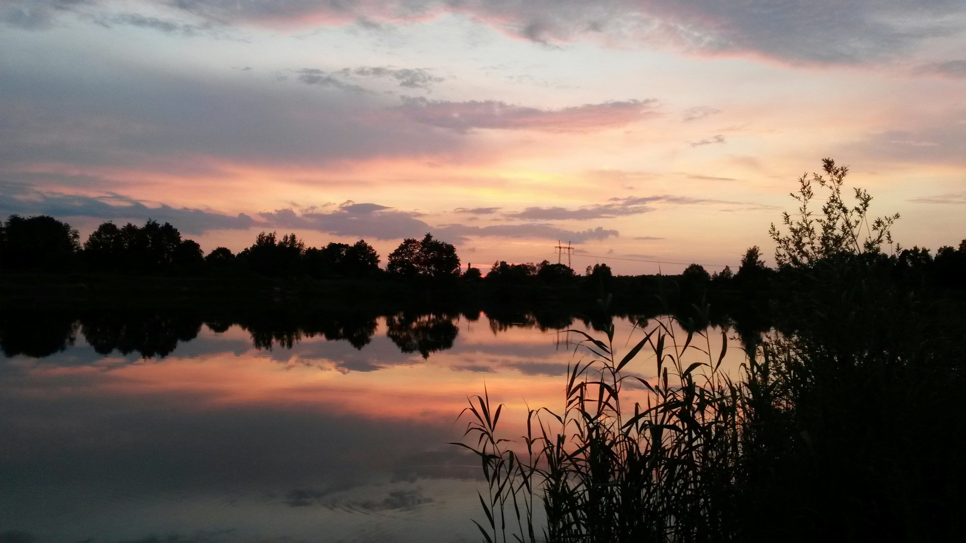 Free Unsplash photo from Robert B