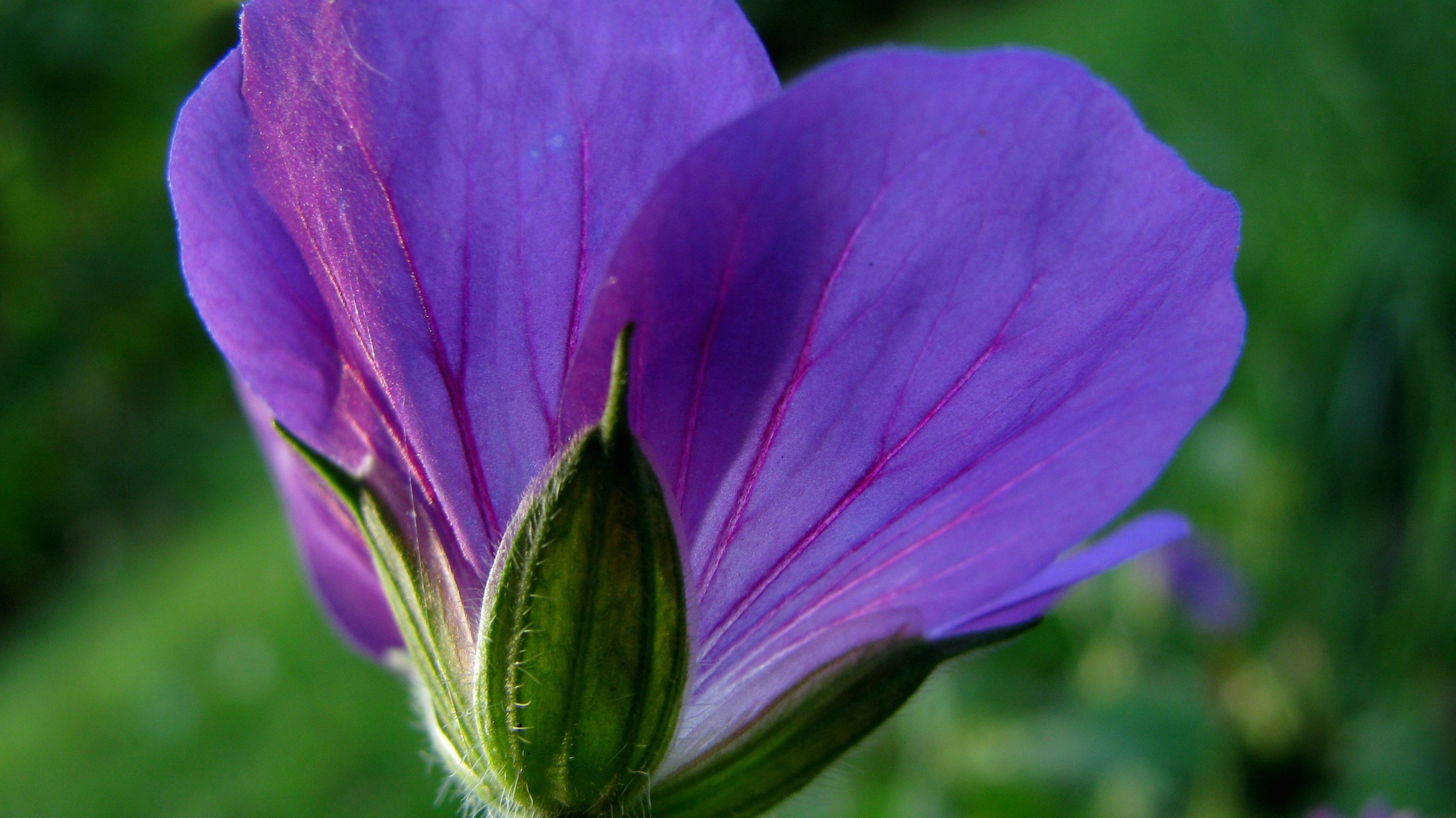 Free Unsplash photo from Zoe Gabo