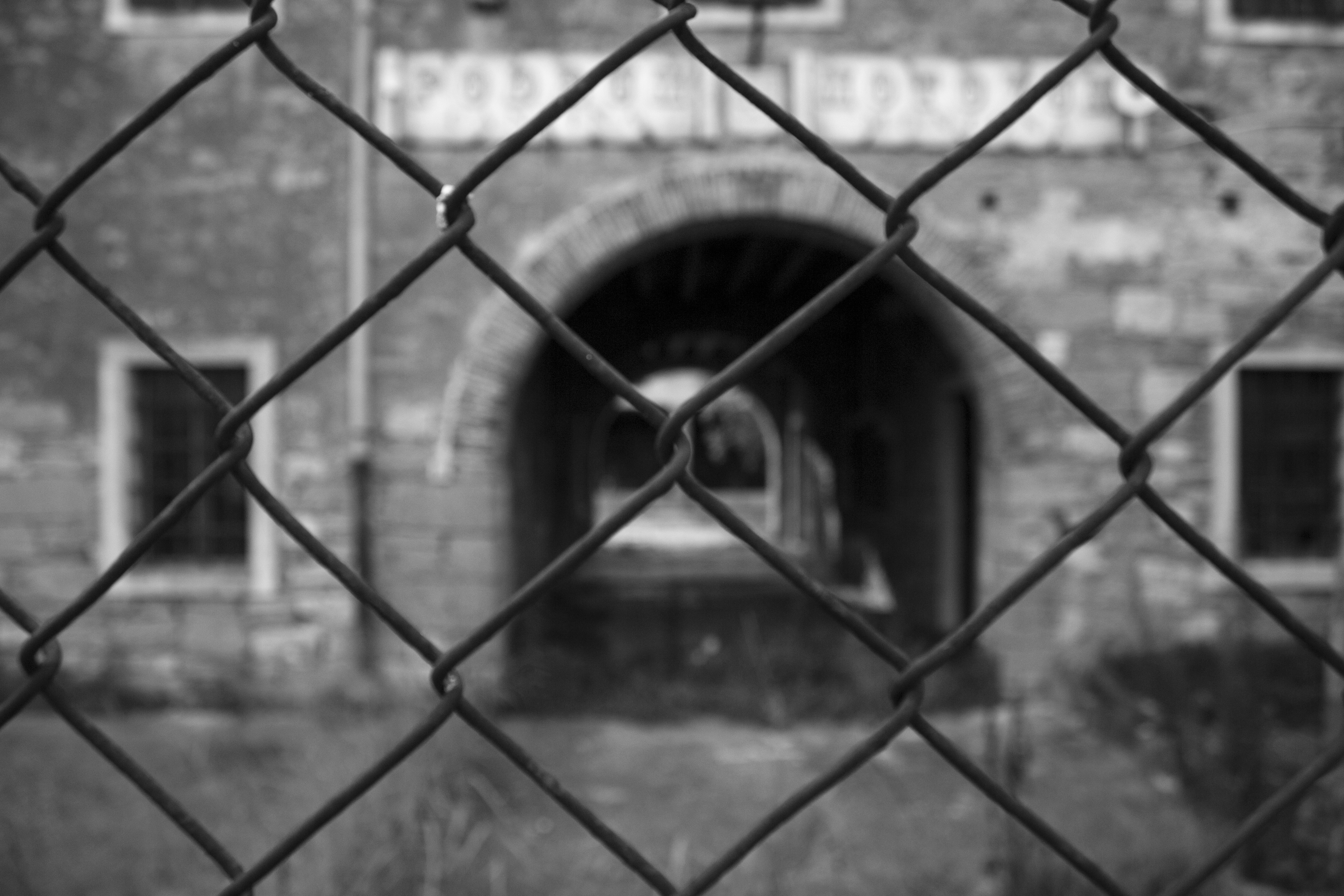 Free Unsplash photo from Zelda Prozek