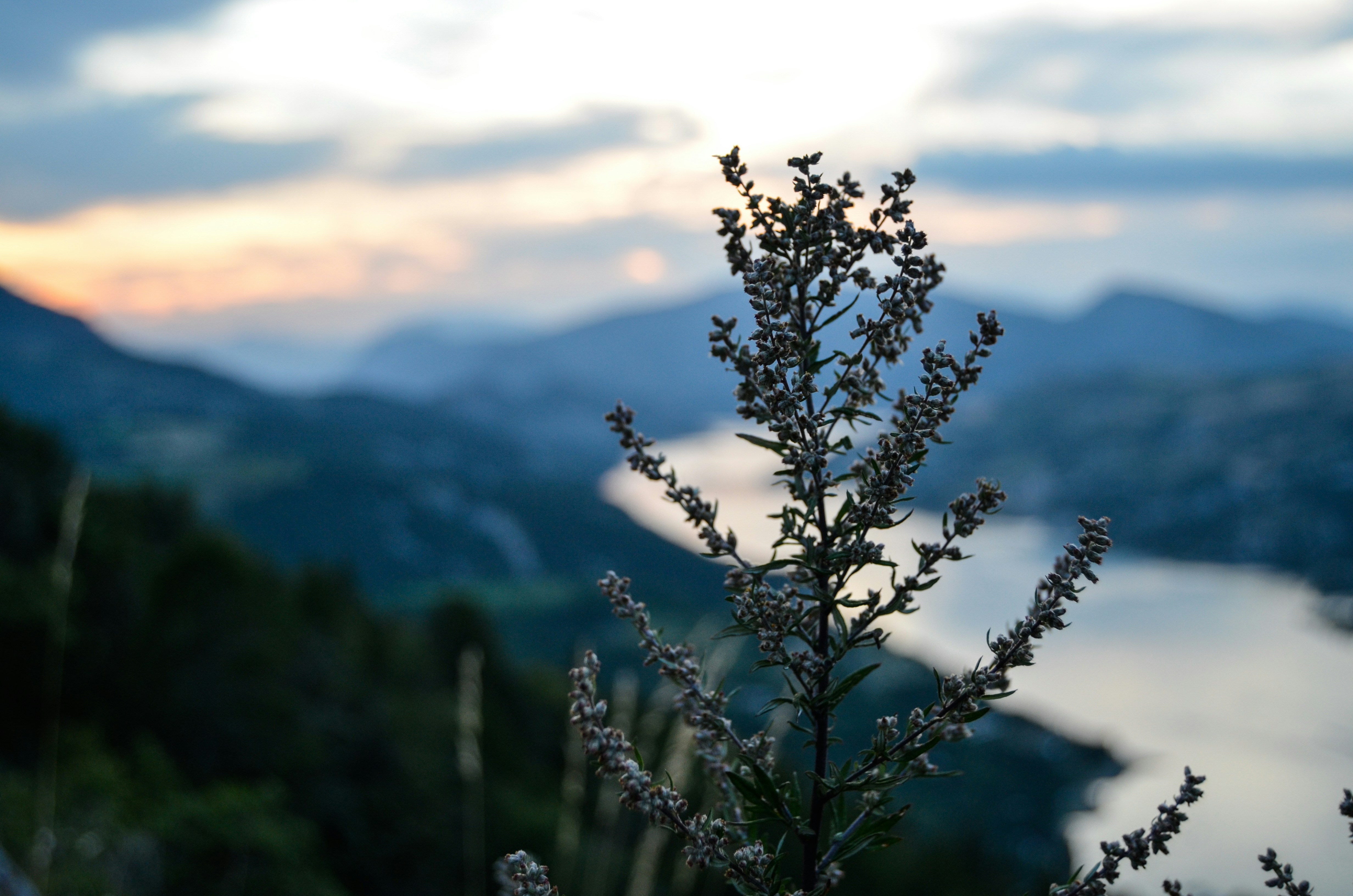 Free Unsplash photo from Ezra