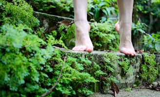 Close-up of feet walking gently on a moss-covered trail, grounding in nature.