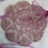 A circular crochet doily with intricate patterns and floral motifs lies on a soft, fluffy surface. The delicate lacework is highlighted against the background, and the doily features a symmetrical design with scalloped edges.