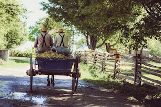 two person riding horse with carriage