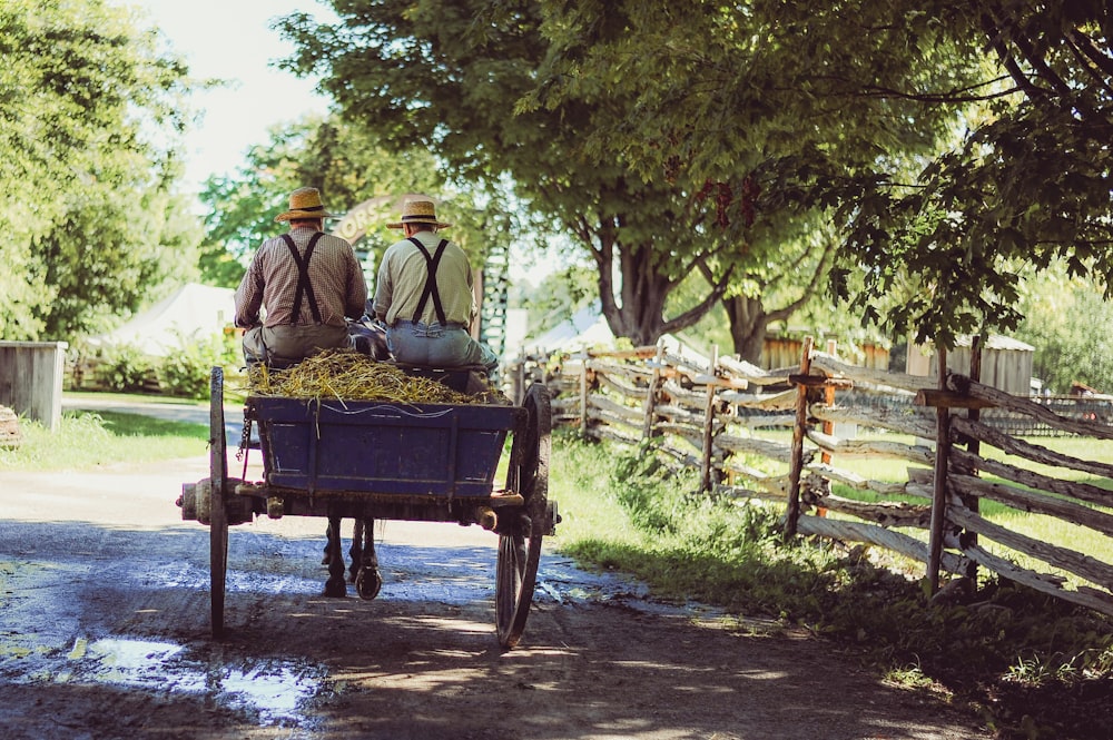 duas pessoas montando cavalo com carruagem