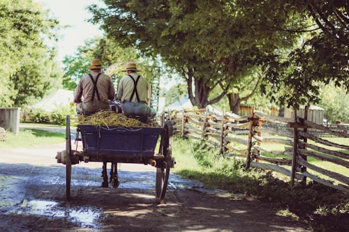 Innovations in Agriculture