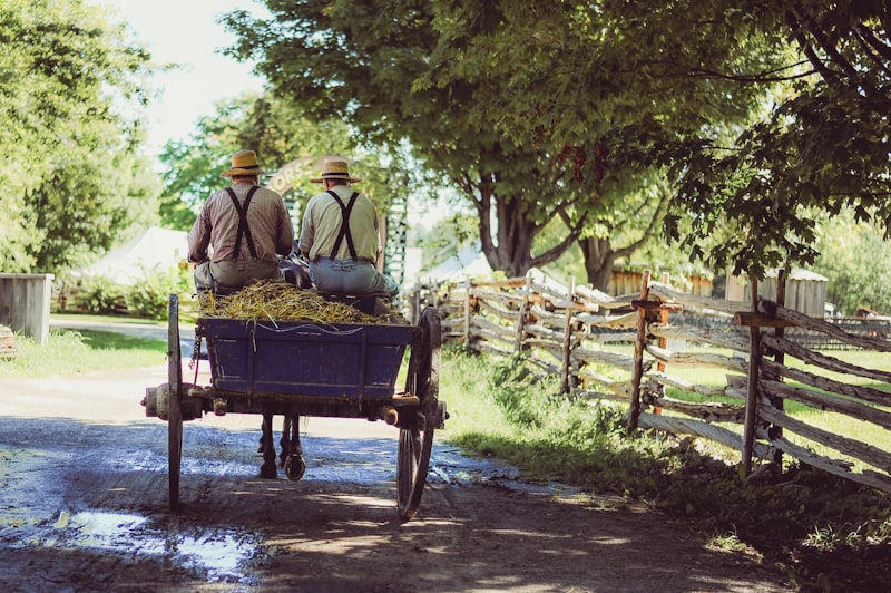 空氣清淨機 除濕
