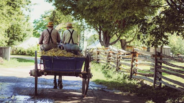 Amish