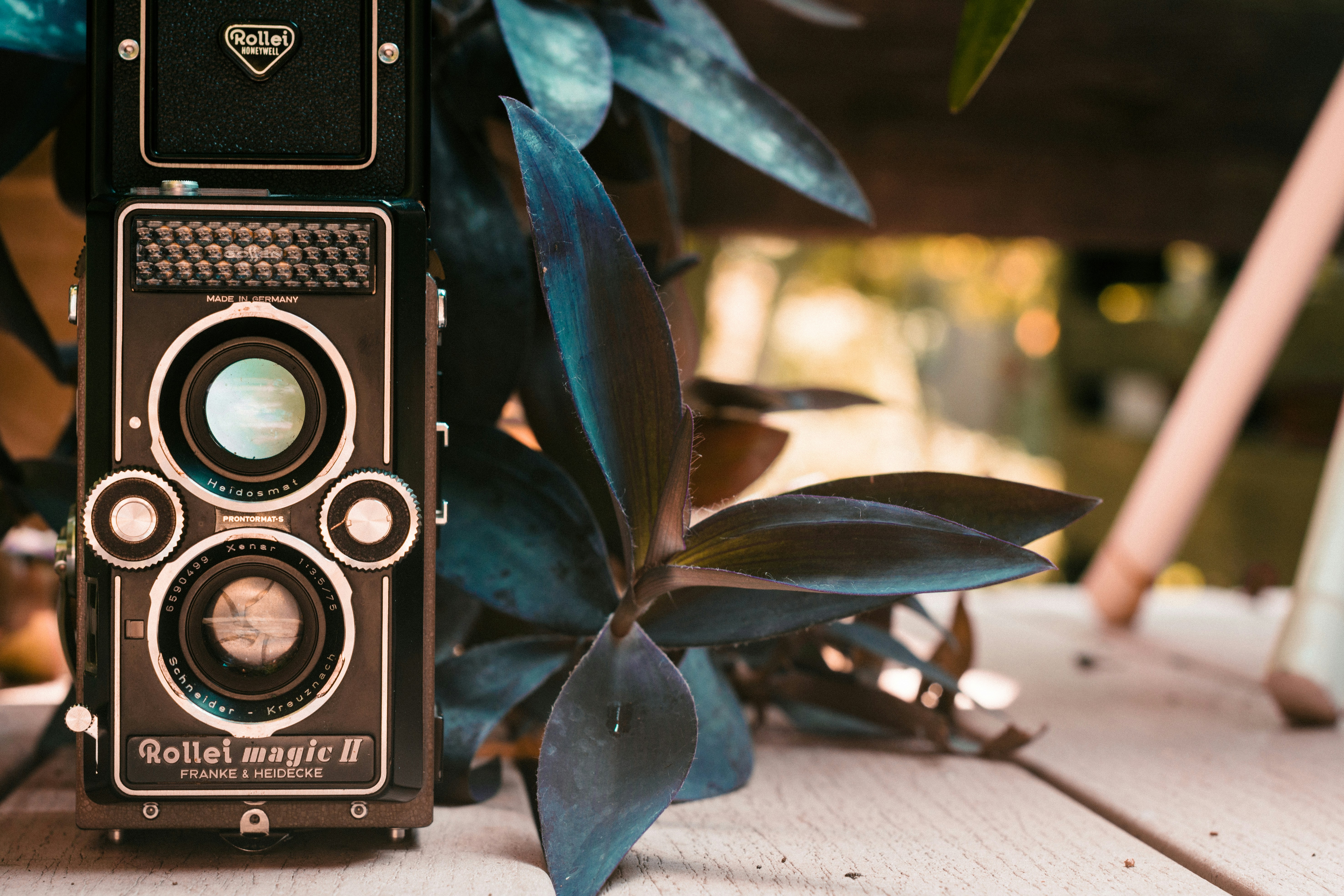 Free Unsplash photo from Joel Peel