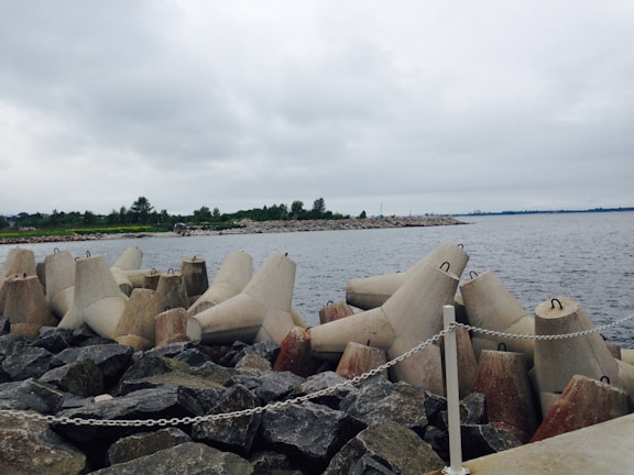 A waterfront scene featuring large concrete tetrapods placed along a rocky shore, with a chain boundary in the foreground. The water extends to the horizon, with a strip of green trees and vegetation along the coastline under a cloudy sky.
