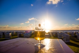Group of friends enjoying beer outdoors near the shore at sunset.