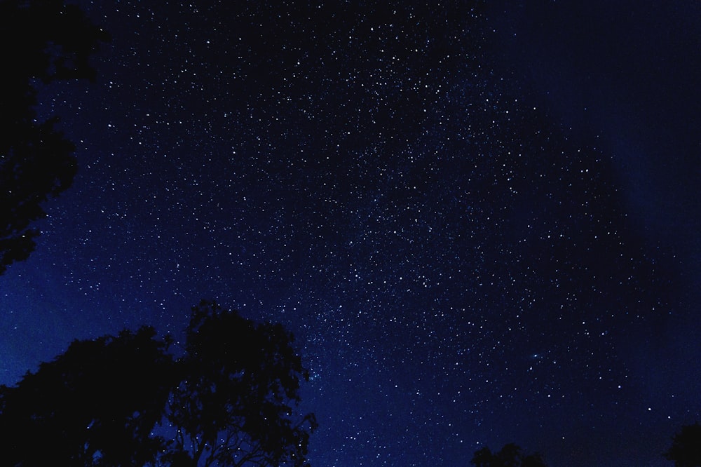 noite estrelada