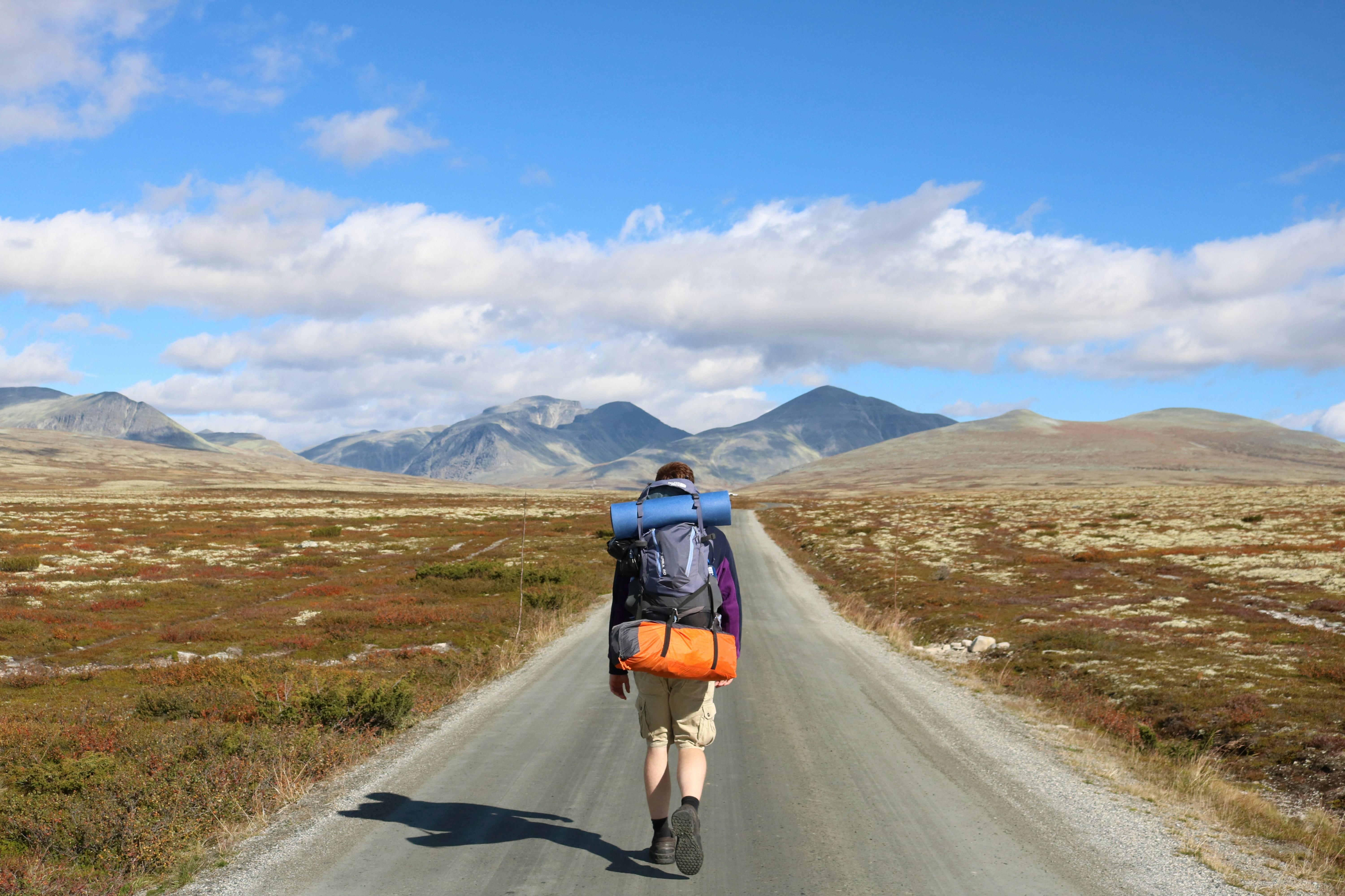 Free Unsplash photo from Ben Shanahan