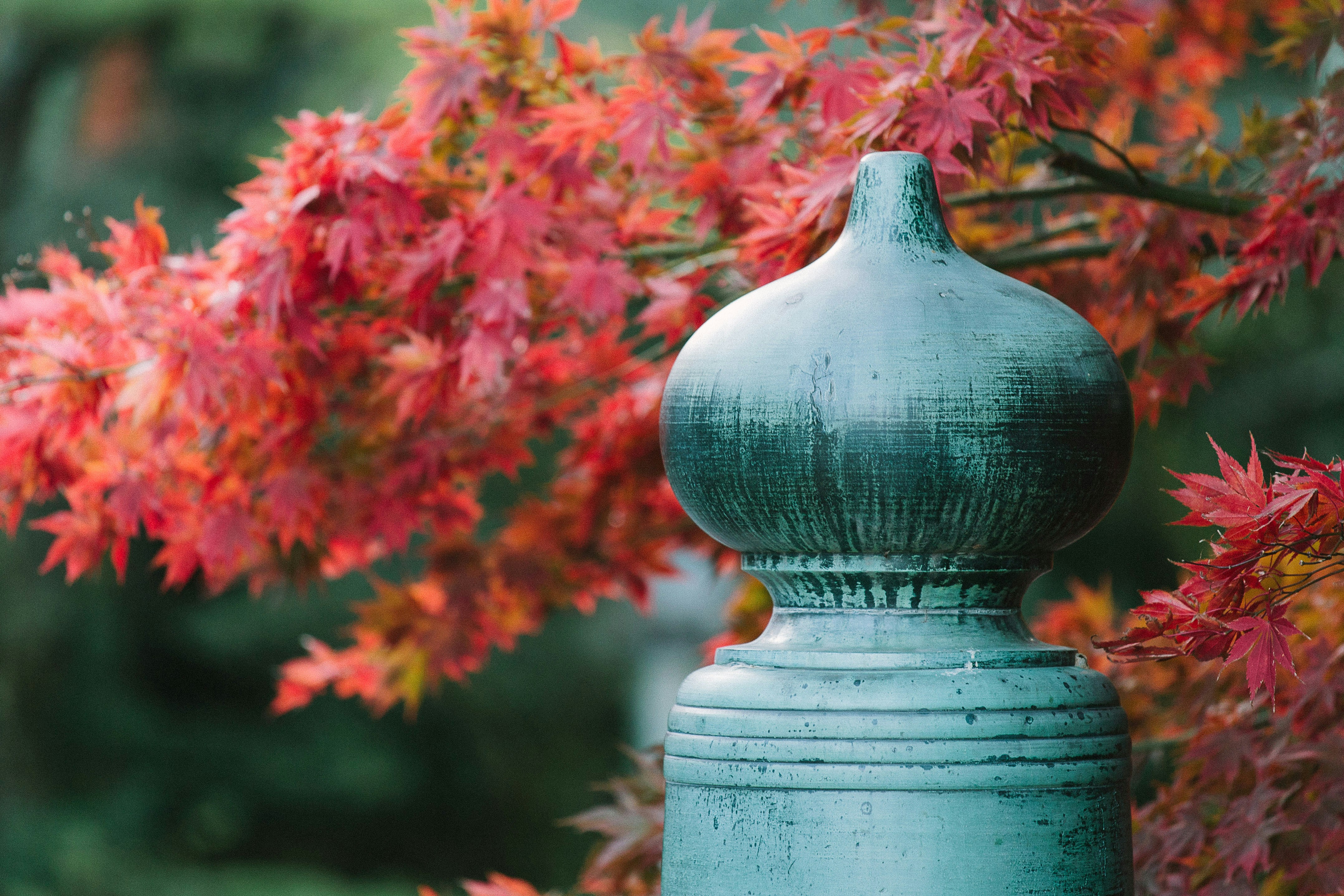 Free Unsplash photo from Francesco Gallarotti