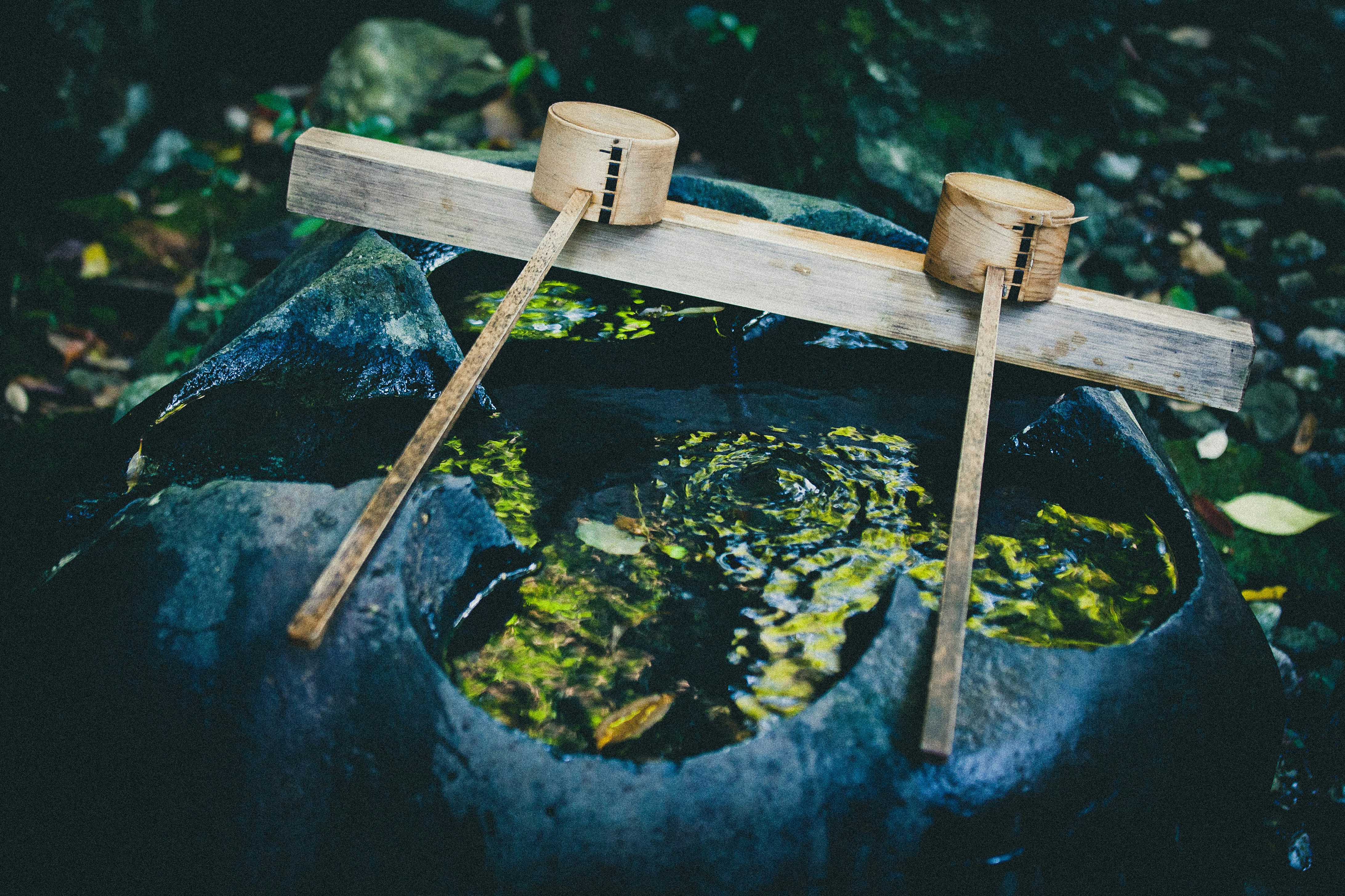 Free Unsplash photo from Francesco Gallarotti