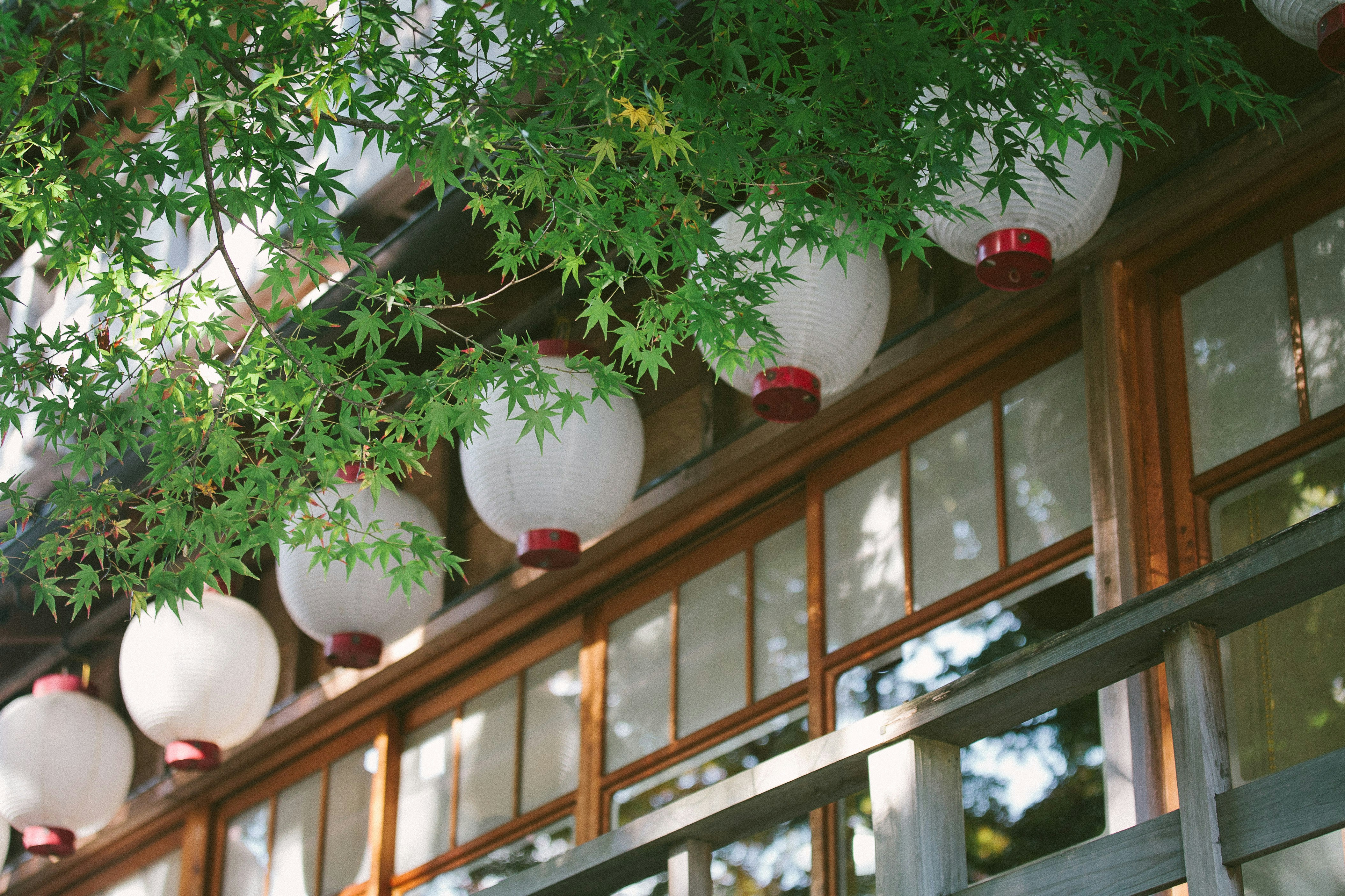 Free Unsplash photo from Francesco Gallarotti