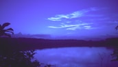 A calming image of nature promoting tranquility.