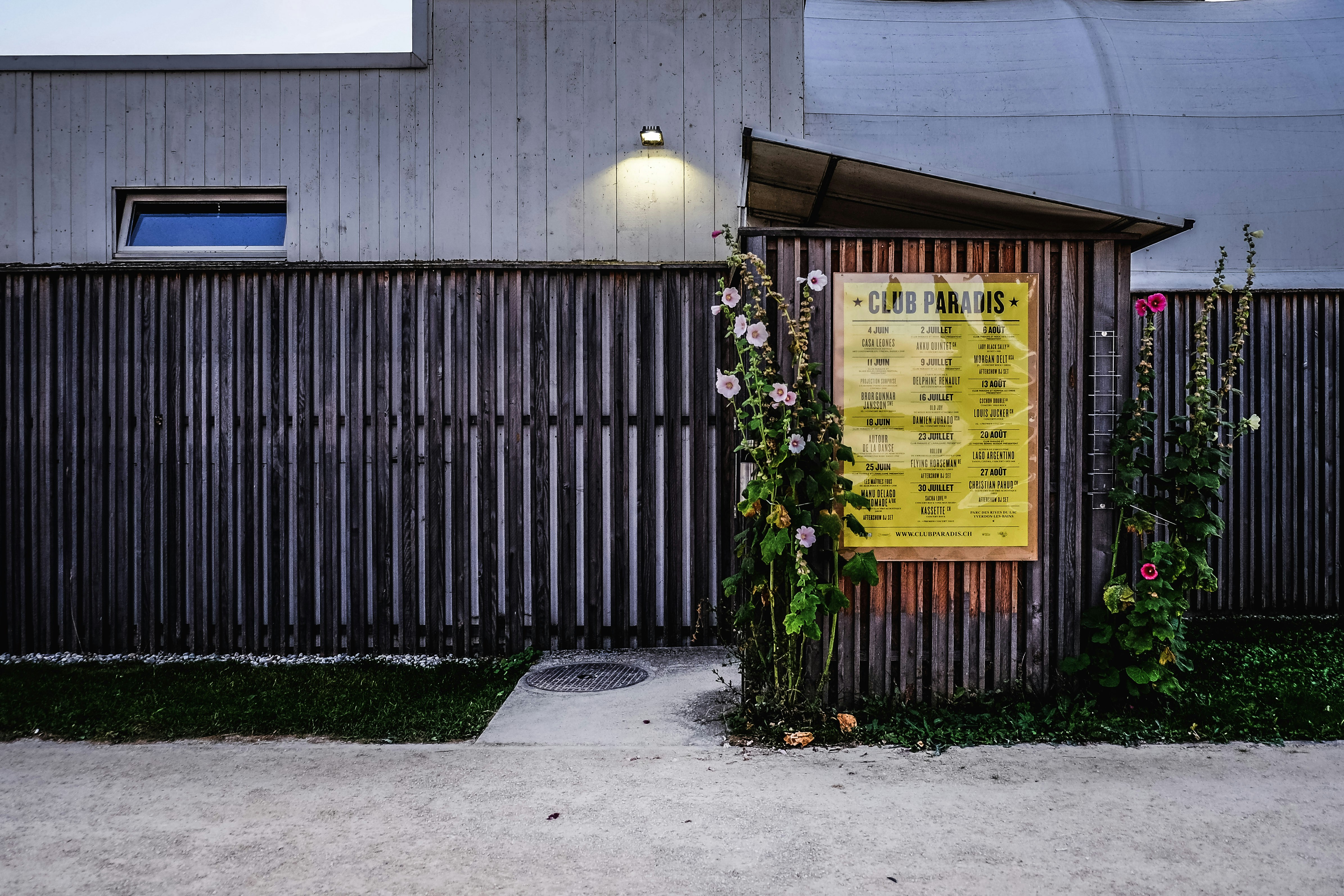 Free Unsplash photo from Magicphil Montes