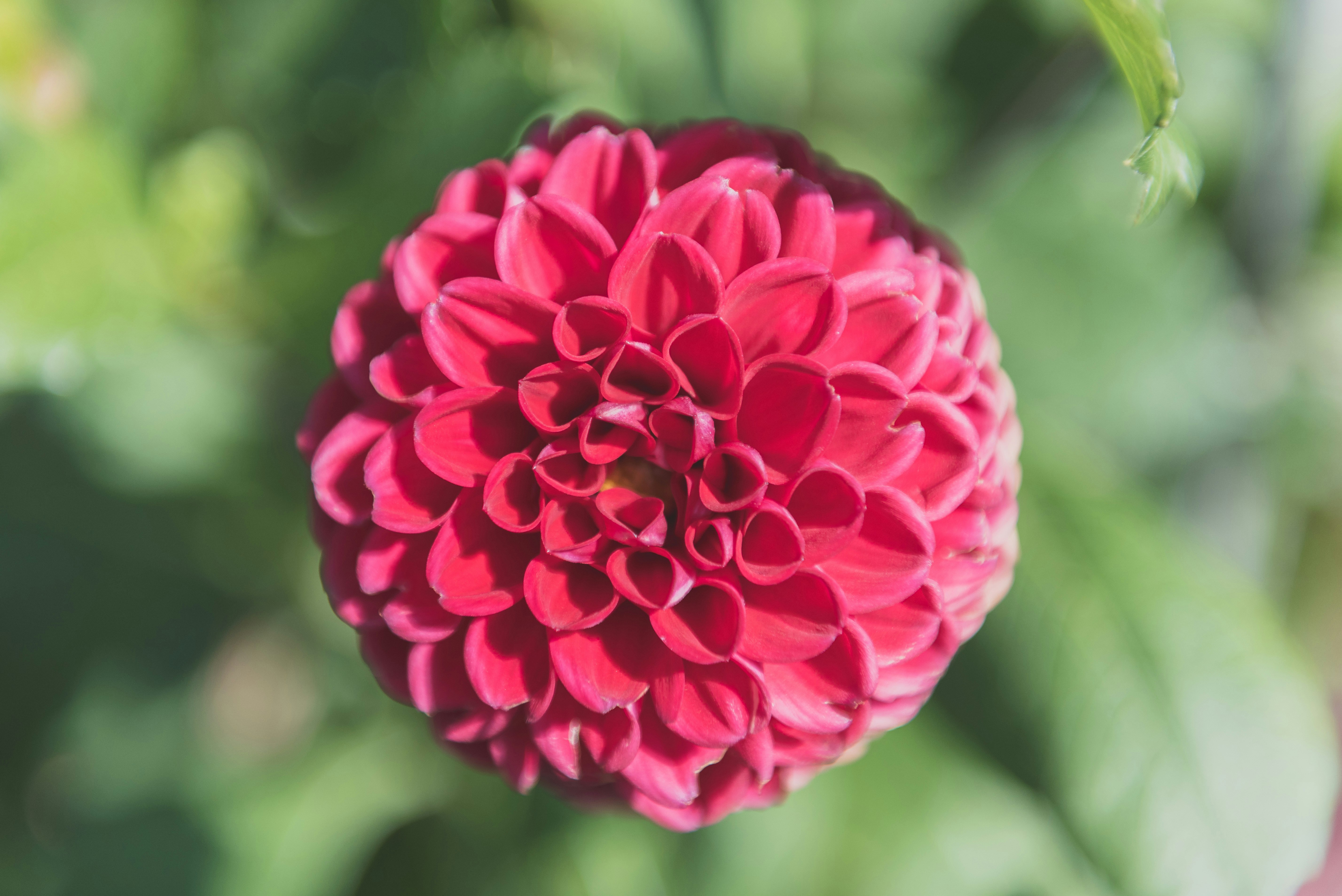 Free Unsplash photo from Ricky  Kharawala