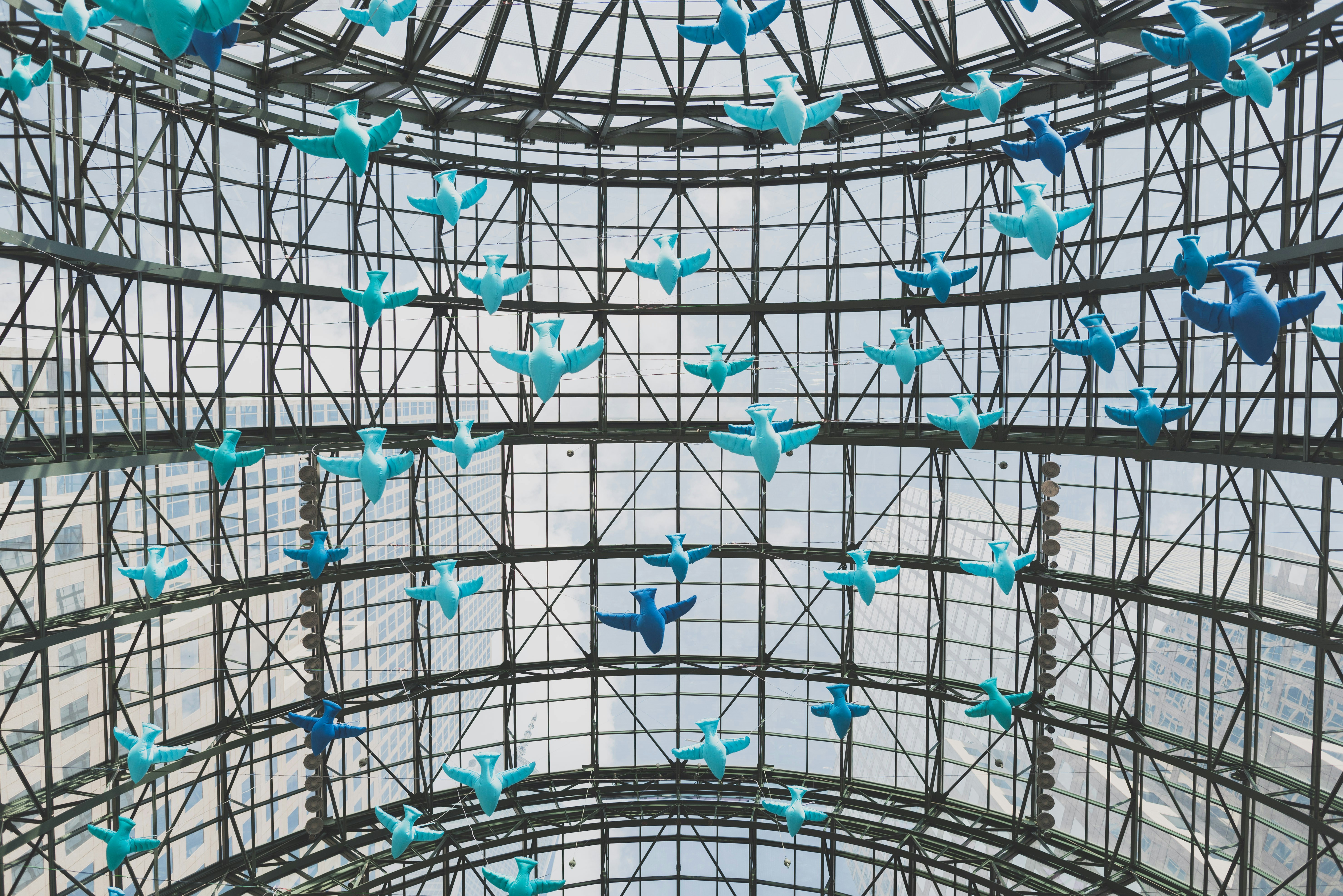 Free Unsplash photo from Ricky  Kharawala