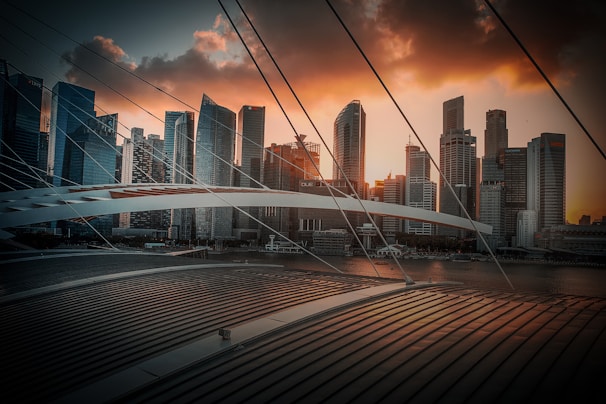 A city skyline with network cables and digital connections.