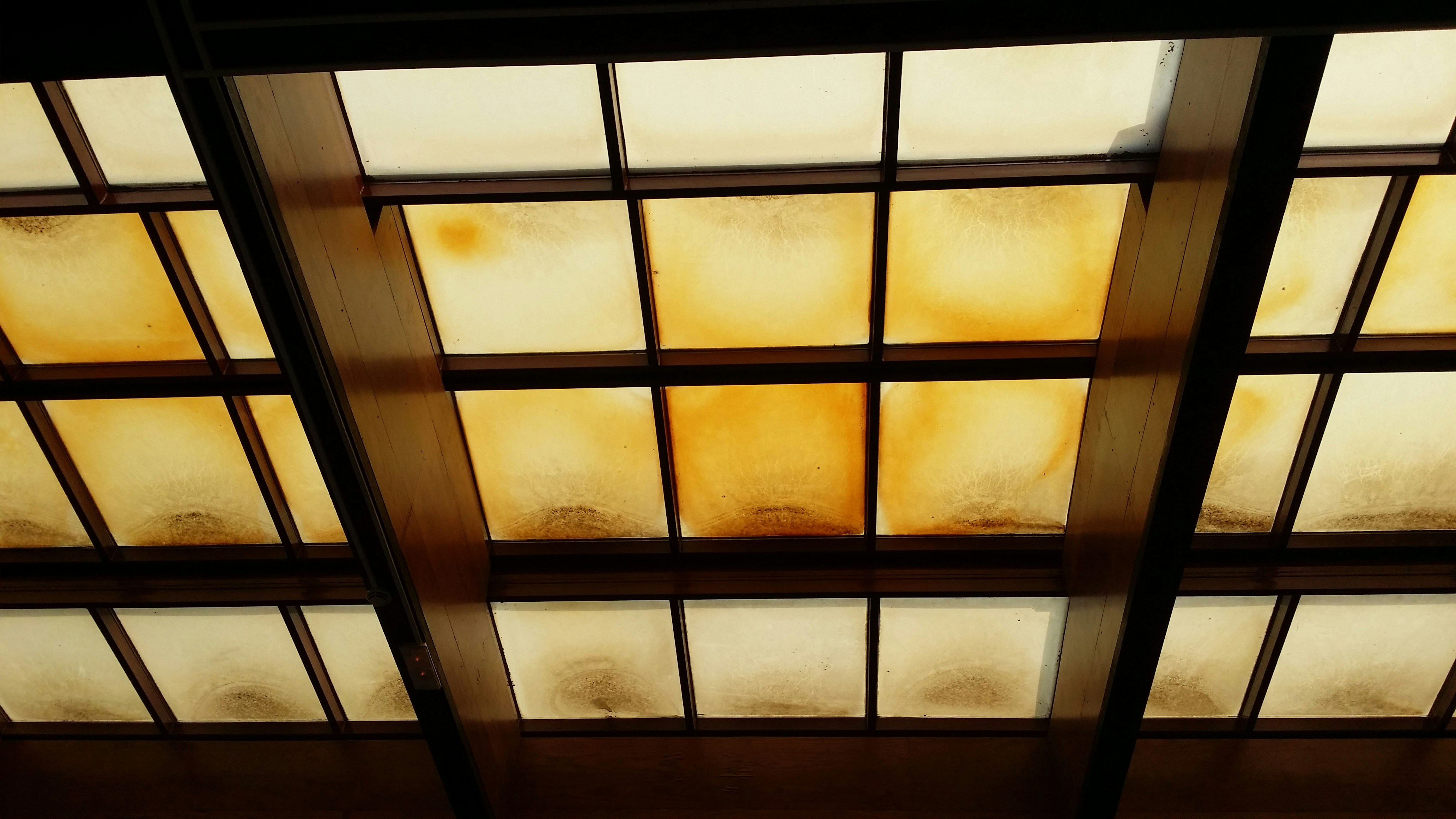 Free Unsplash photo from Kamran Moledina