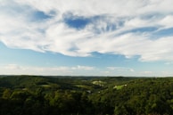 A scenic landscape photograph featuring a vast view of rolling hills covered in lush green forests under a sky with dramatic, white clouds scattered across a bright blue background. The horizon extends far into the distance, capturing a serene and expansive natural setting.