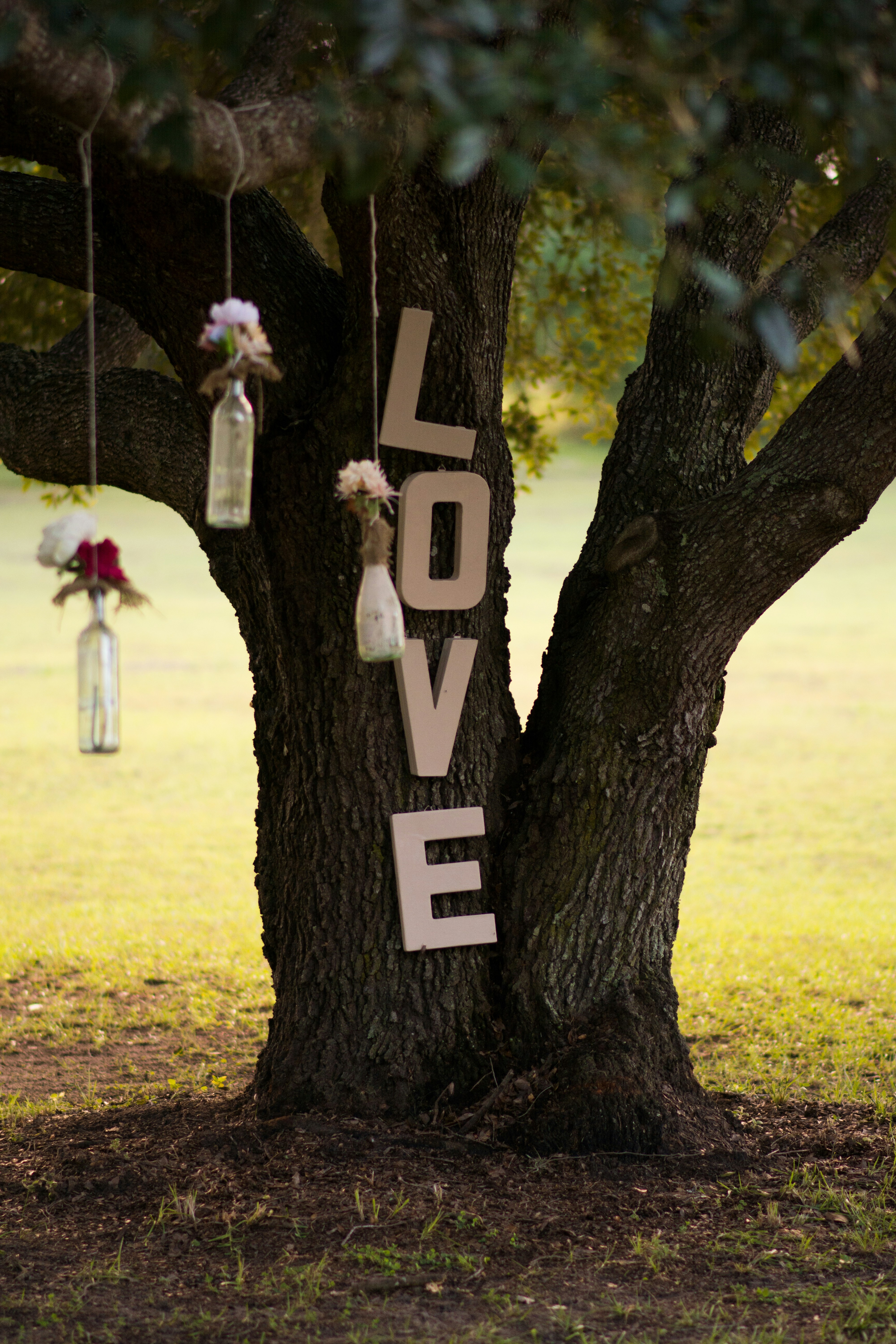 Wedding ceremony, reading couple, love quotes, intimate moments  , ilustrasi artikel How to Choose Your Wedding Readings 4