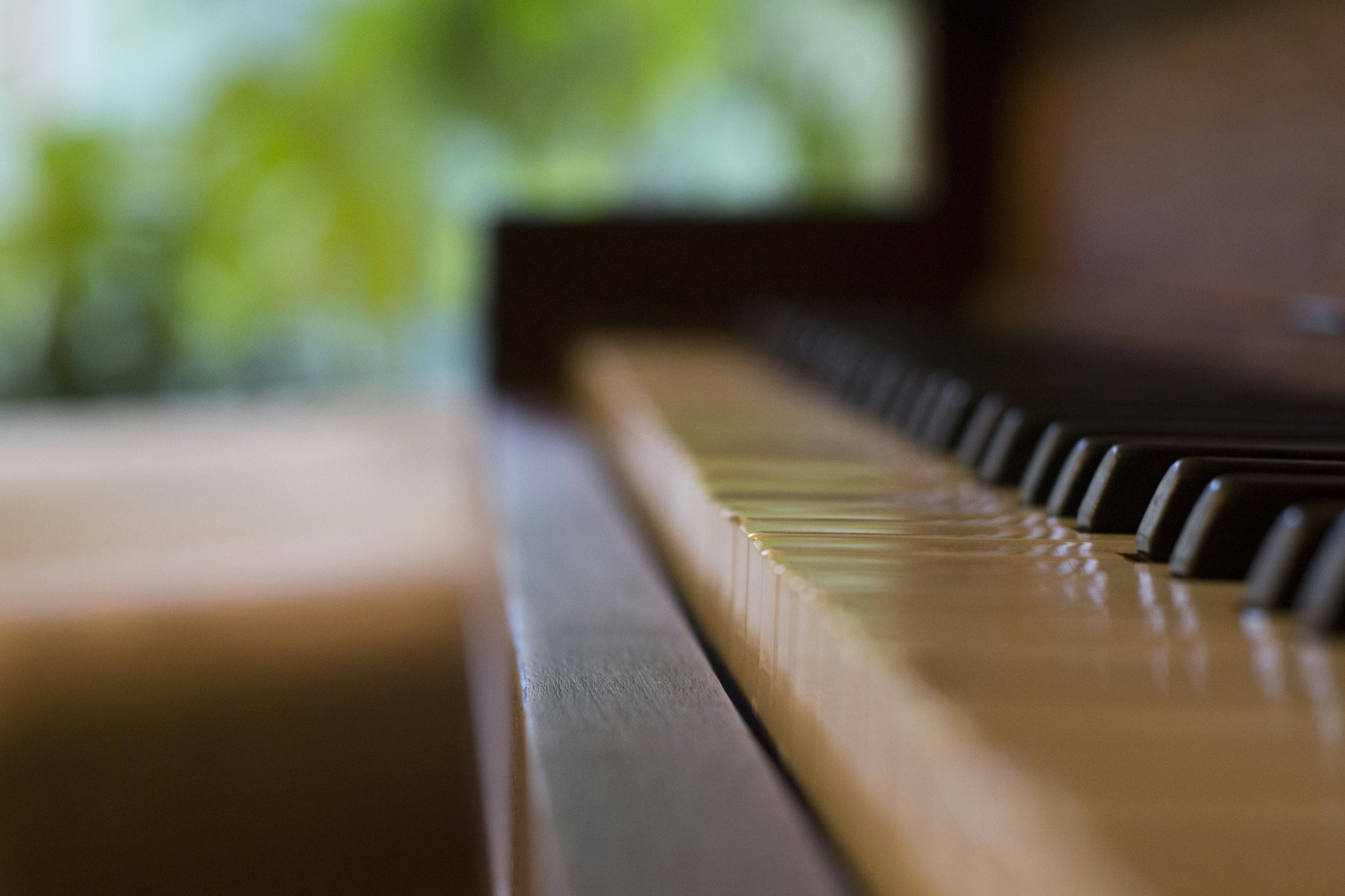 Free Unsplash photo from Steve Halama