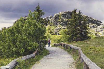 A peaceful pilgrim walking the Camino de Santiago surrounded by nature.