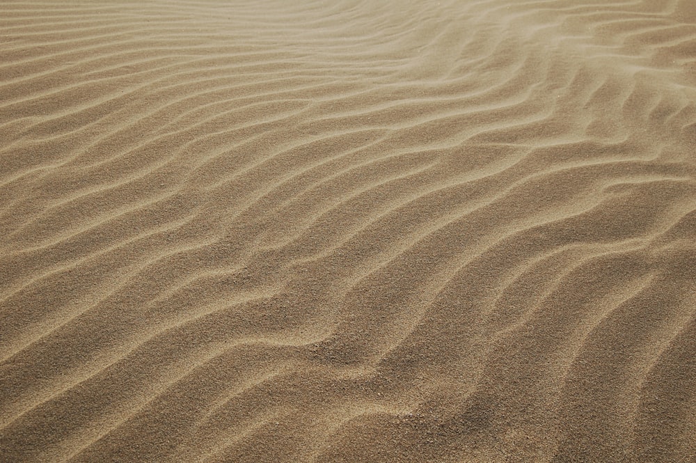 dune di sabbia durante il giorno