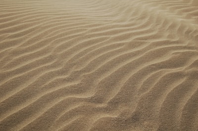 sand dunes during daytime