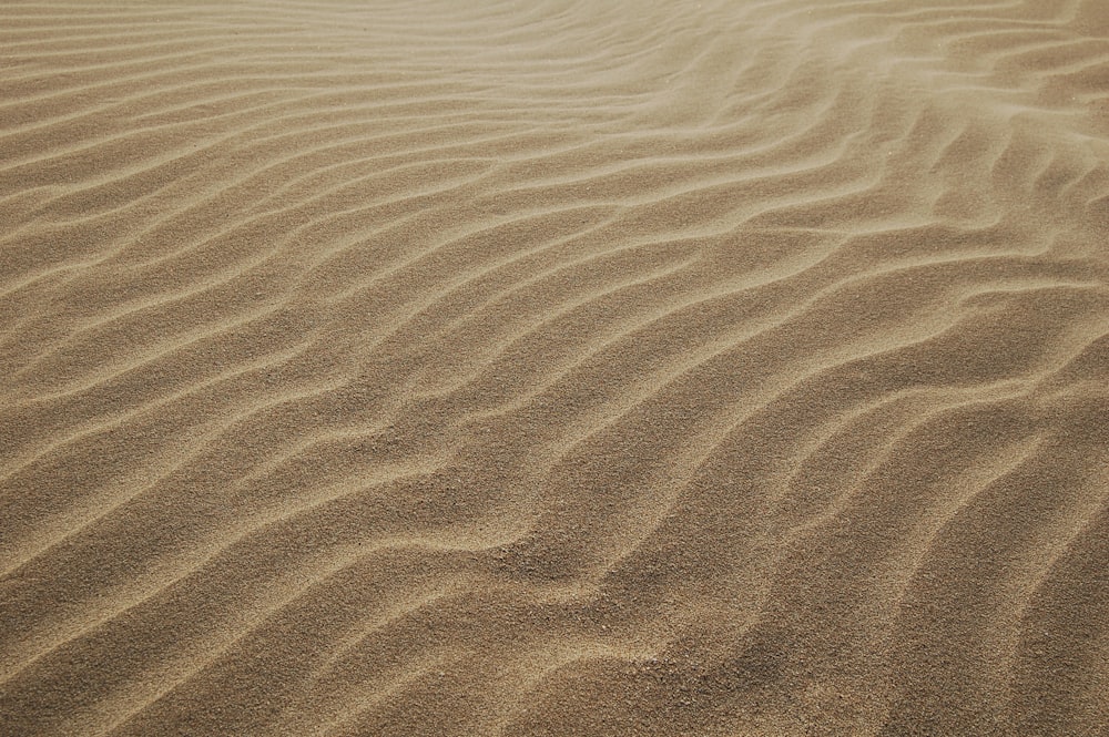 Sanddünen tagsüber