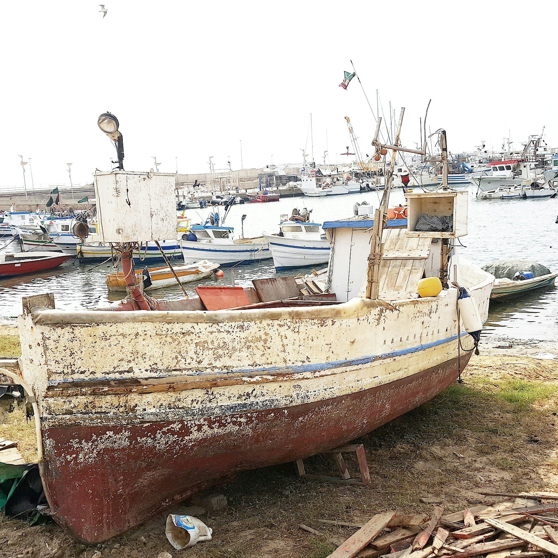 Free Unsplash photo from Concetta Tinnirello