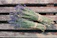 A close-up of fresh lavender bundles tied with rustic twine on a wooden table.