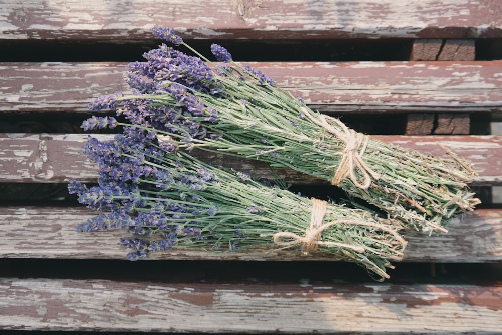 Fleurs violettes bleuâtres emmitouflées sur une terrasse en bois.