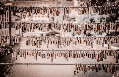 assorted padlocks hanged on wire slovenia zoom background